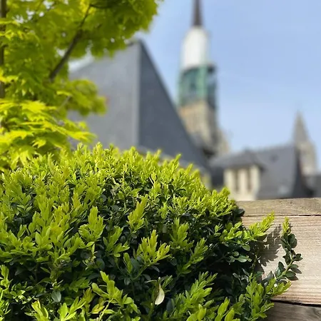 大剧院酒店 酒店