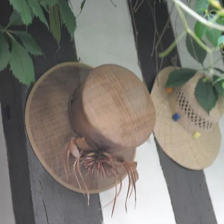 Ξενοδοχείο De La Cathedrale Ρουέν