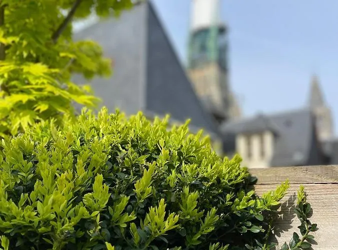 De La Cathédrale Hotel